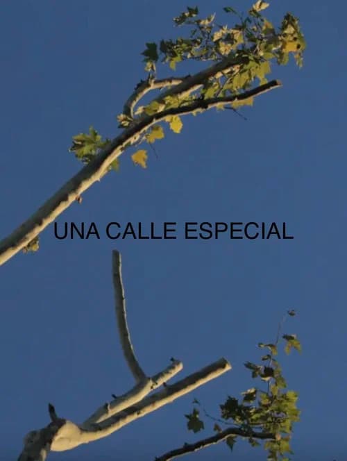 Una Calle Especial